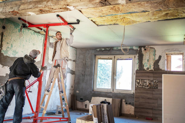 Best Insulation Air Sealing  in Homedale, ID